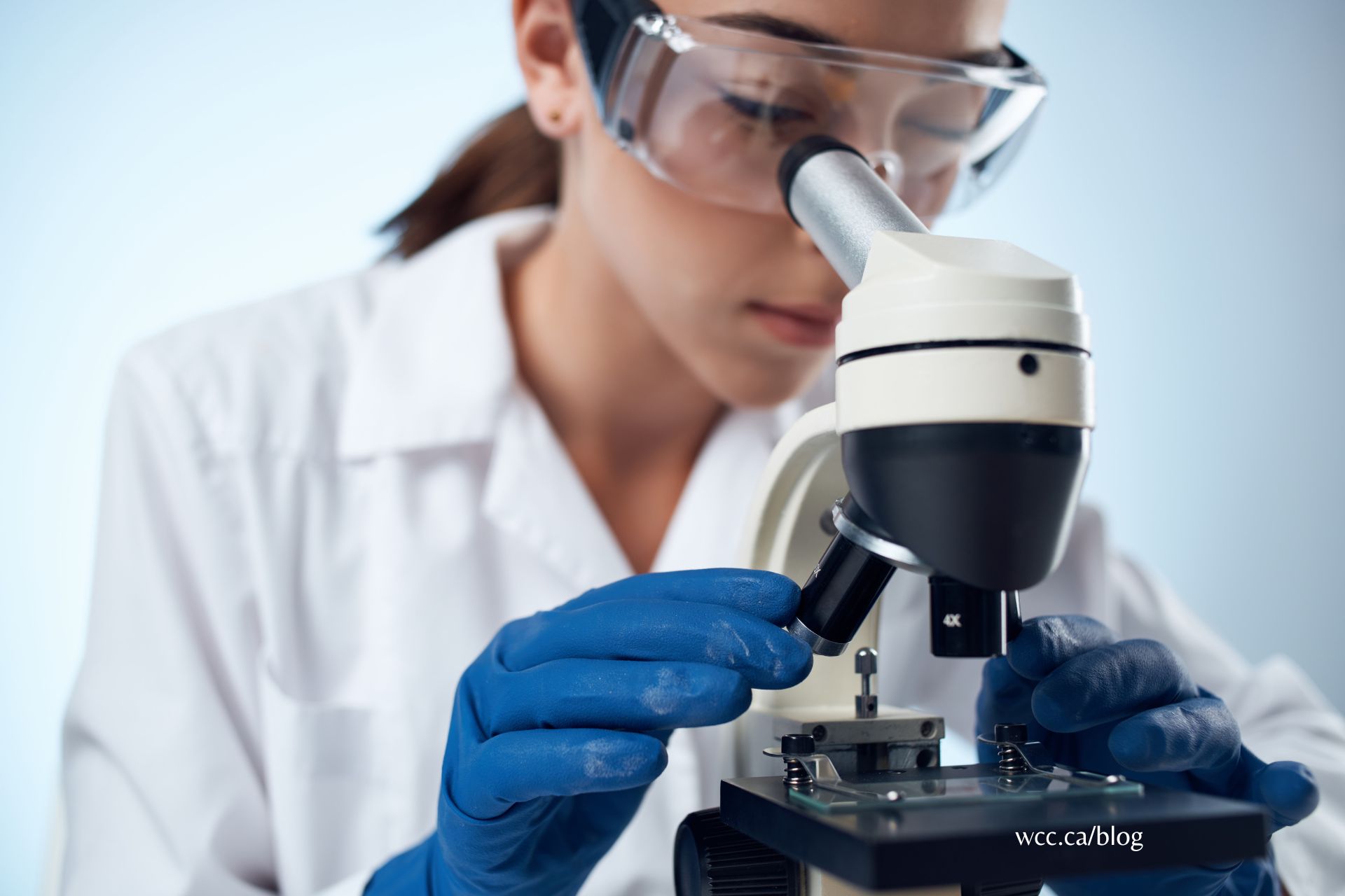 Medical Laboratory Assistant